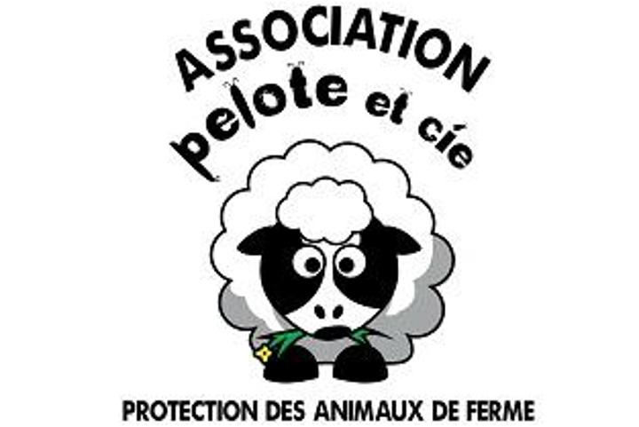 ASSOCIATION PELOTE ET CIE