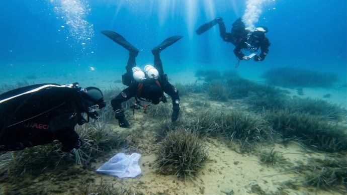 Kraken Dive | Ciencia y Conservación Marina