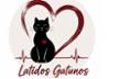 Latidos Gatunos