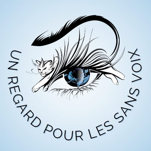 UN REGARD POUR LES SANS VOIX