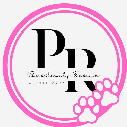 Pawsitively Rescue