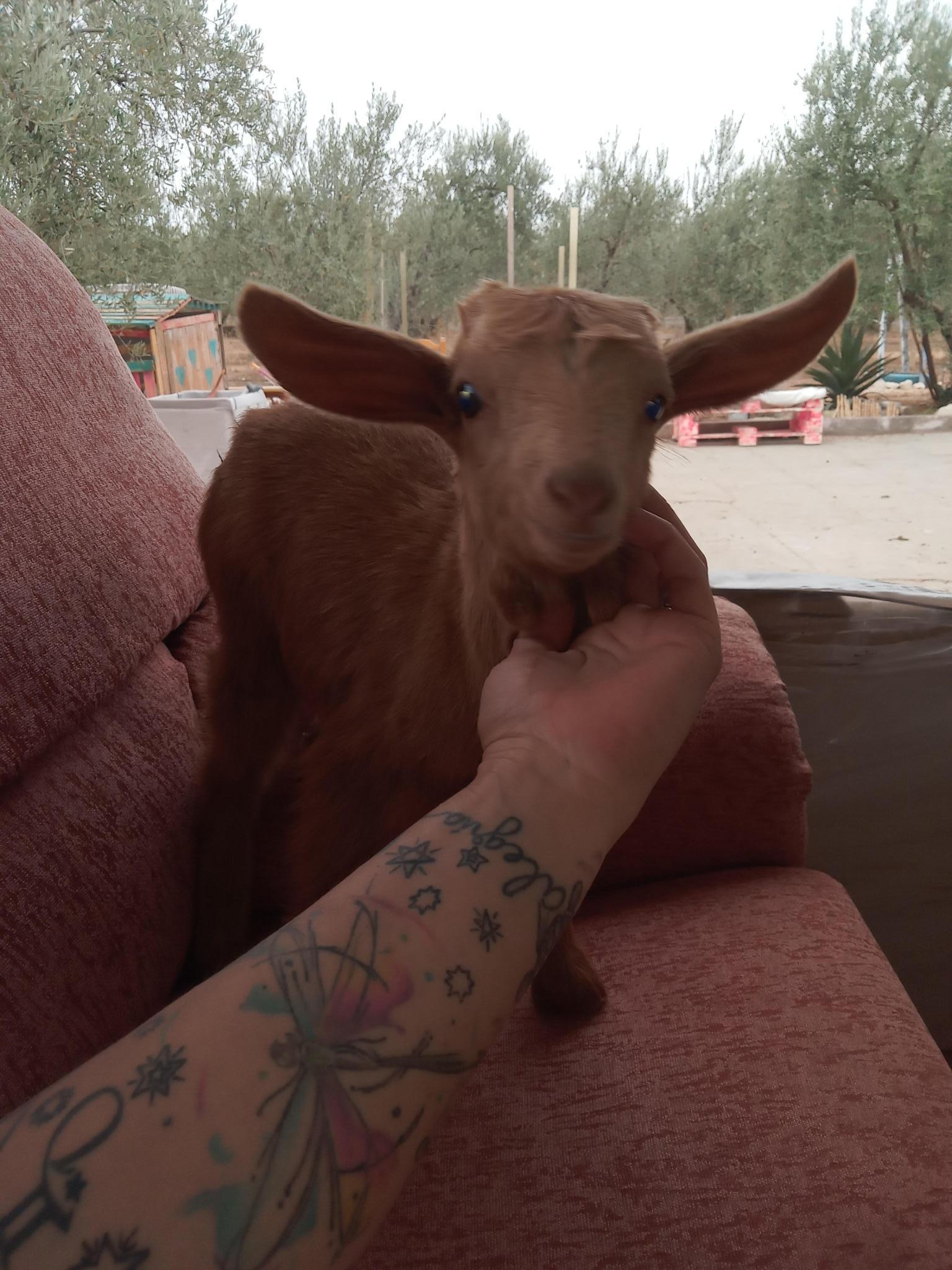 HoGar ALaS De LiBerTaD