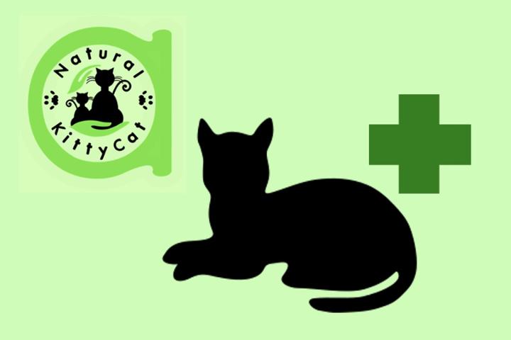 Asociación Natural KittyCat: Gastos Veterinarios