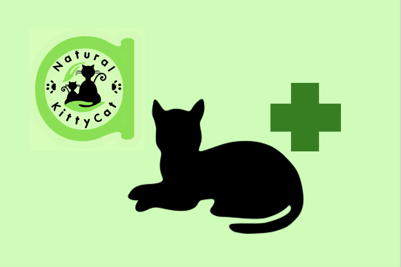 Asociación Natural KittyCat: Gastos Veterinarios