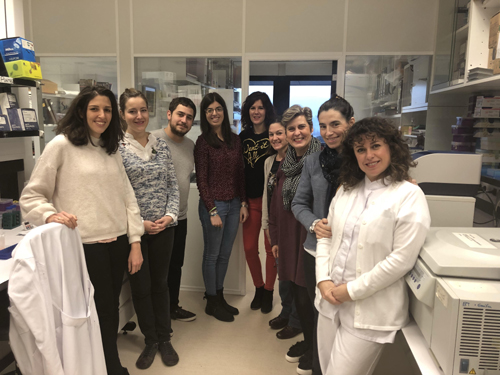 APU Poyecto Osteosarcoma