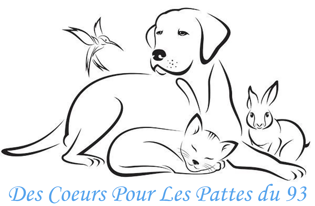 Des cœurs pour les pattes du 93