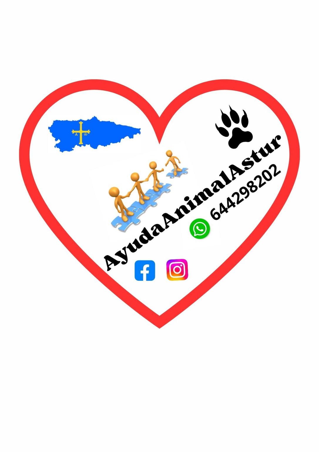 AYUDA ANIMAL ASTUR