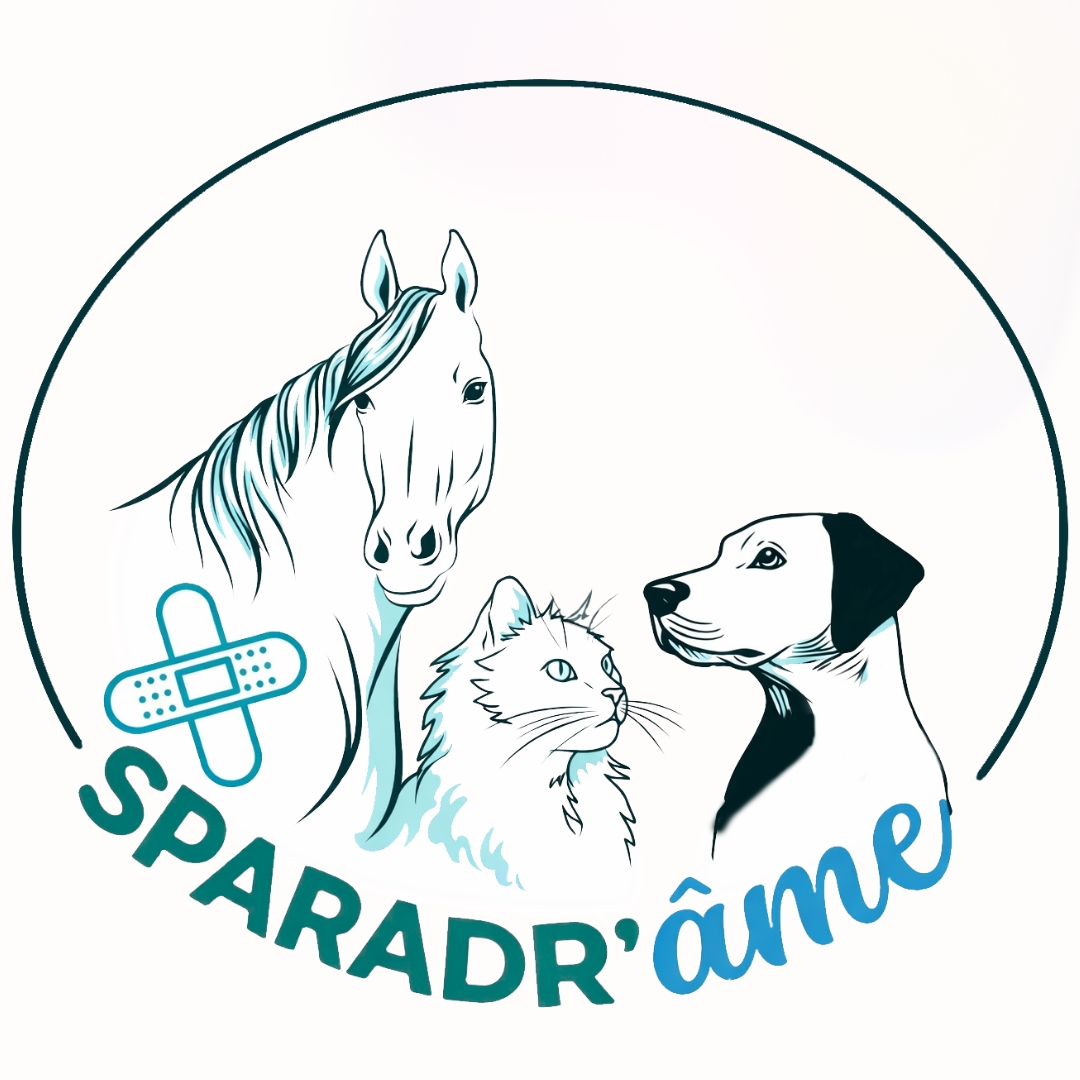 Sparadr'âme