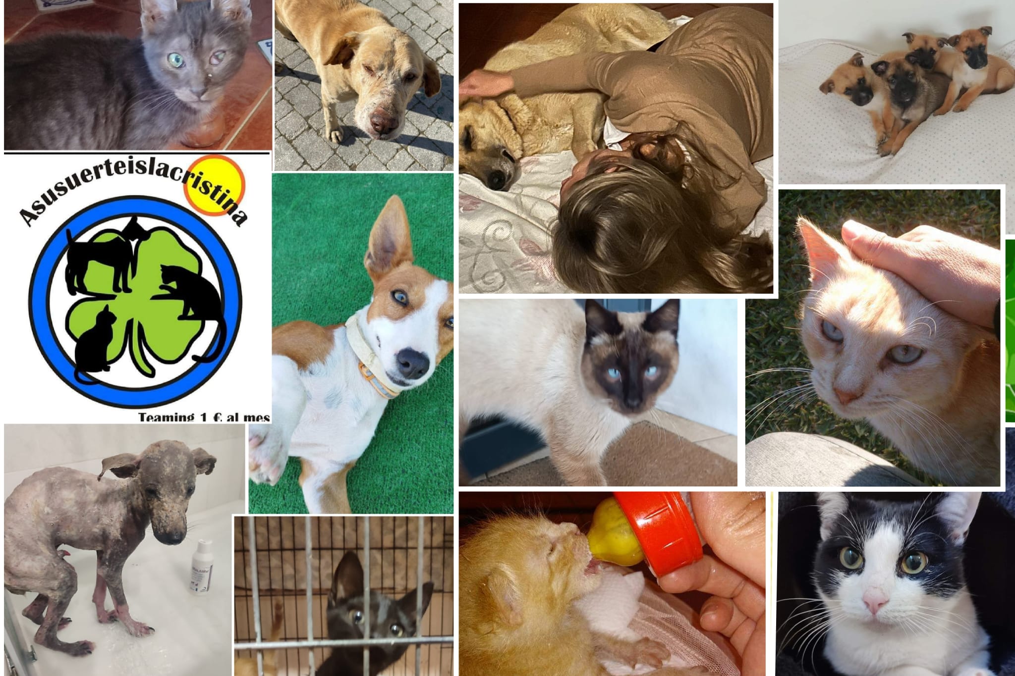 Asusuerteislacristina