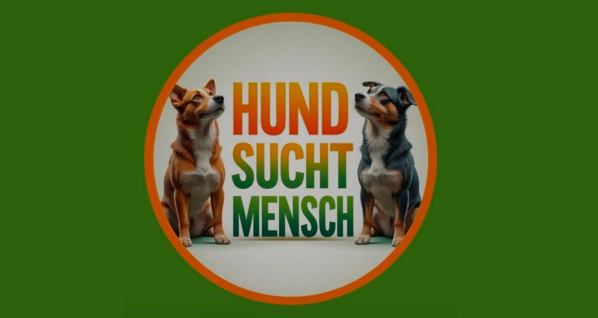 Hund sucht Mensch
