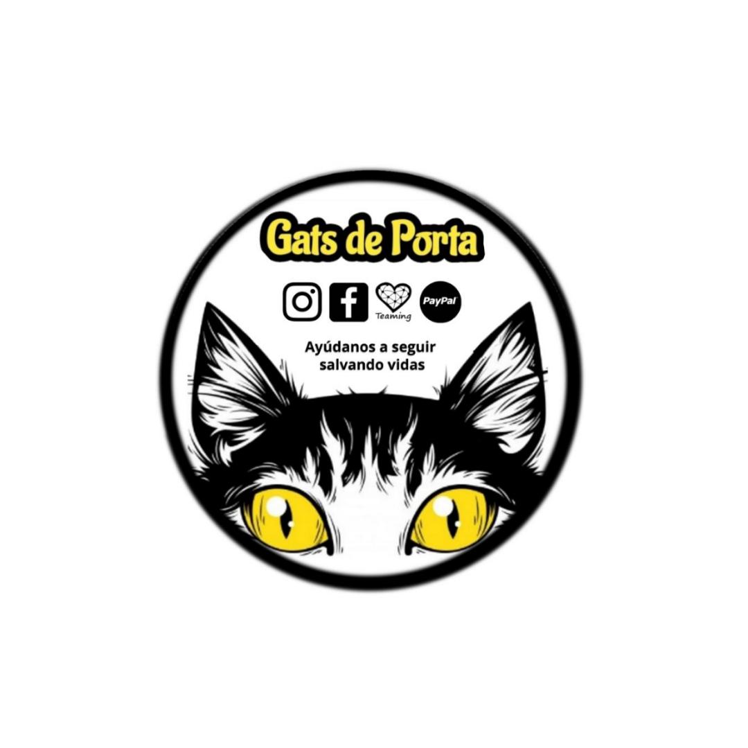 Gats de Porta