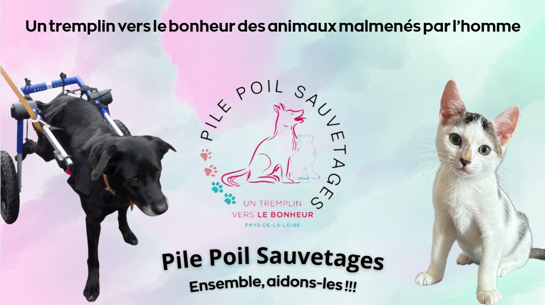 PILE POIL SAUVETAGES