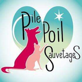 PILE POIL SAUVETAGES