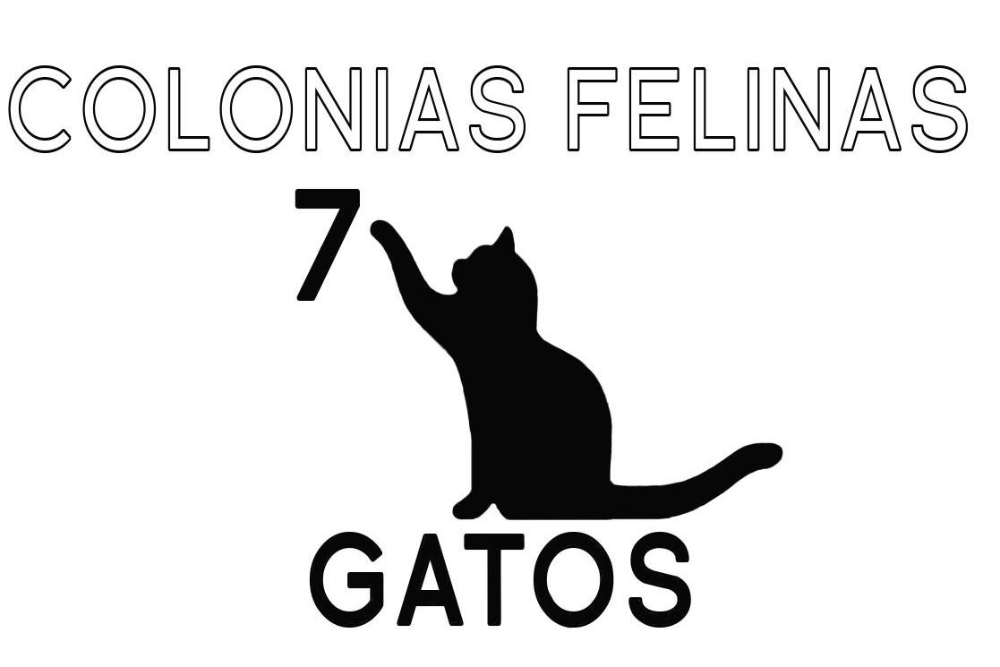Colonias Felinas 7 Gatos
