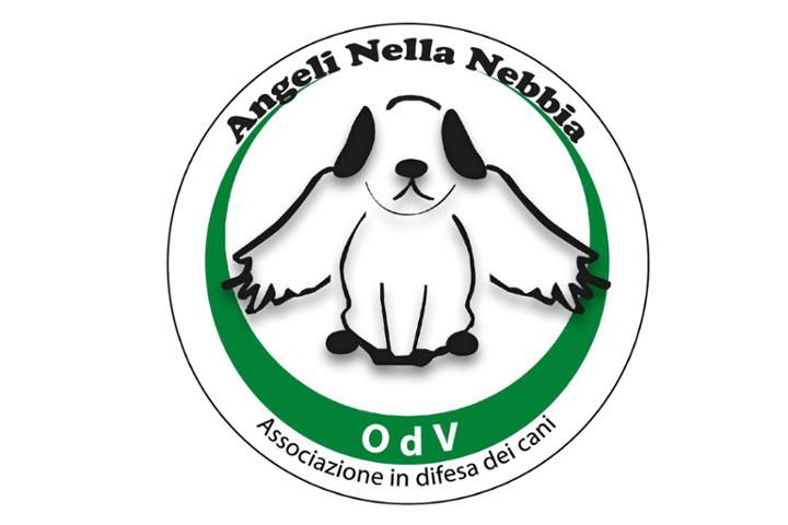 Sostenitori Angeli nella Nebbia OdV