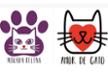 Asociación Mirada Felina/Amor de Gato