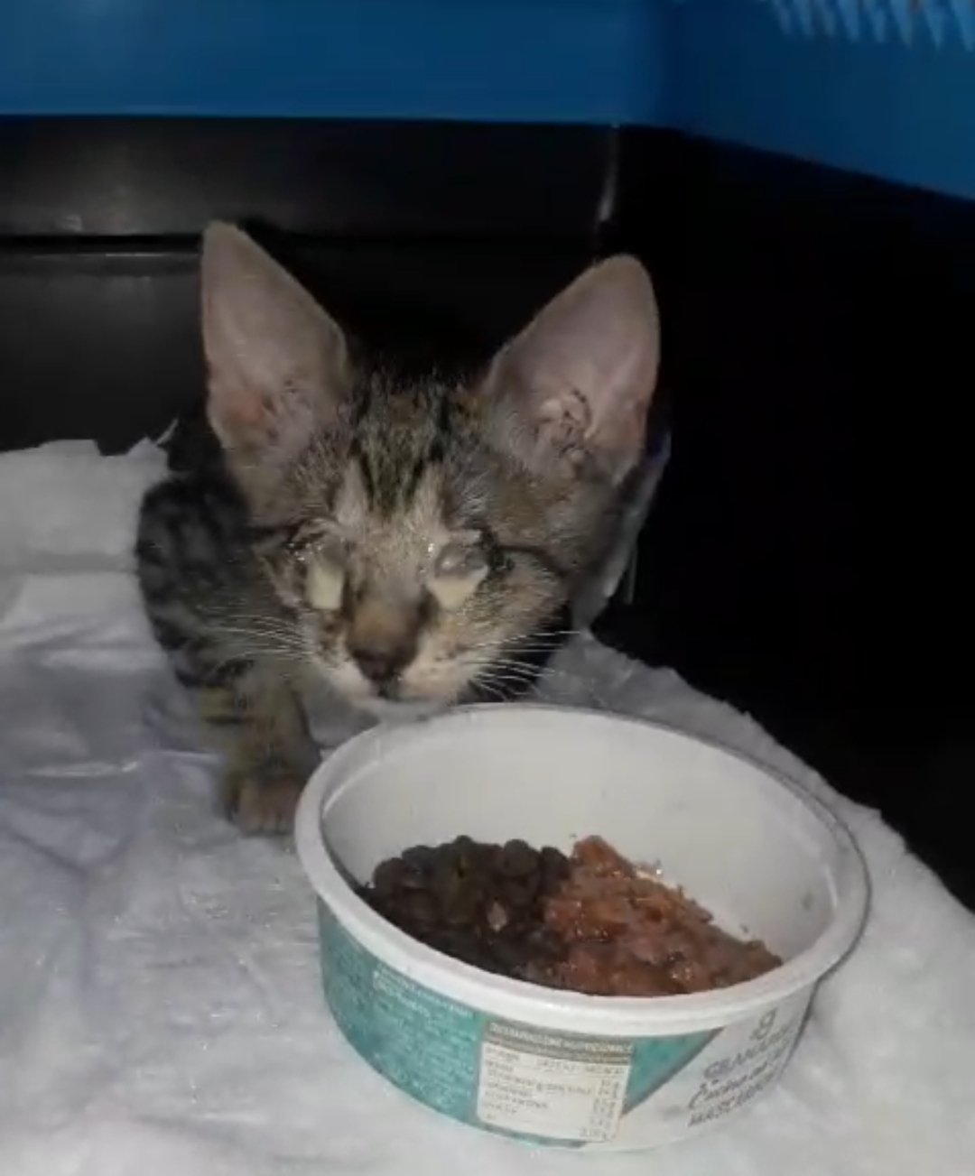 Pancini pieni e felici