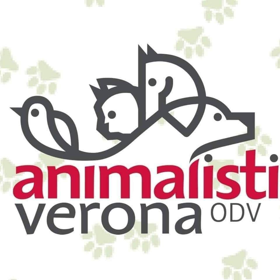 Animalisti Verona Odv