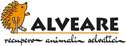 Associazione Alveare OdV