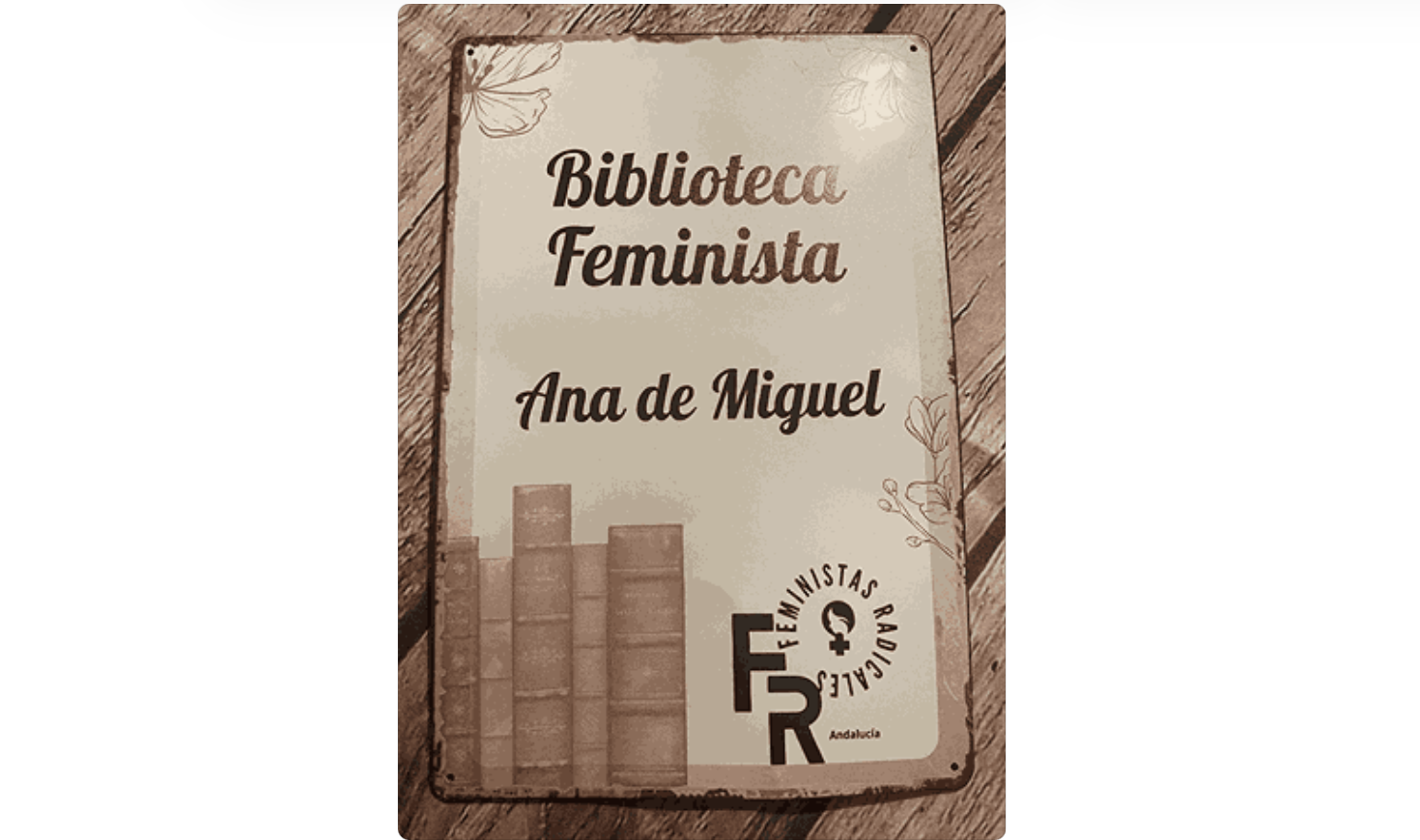Ana de Miguel Feminist Library