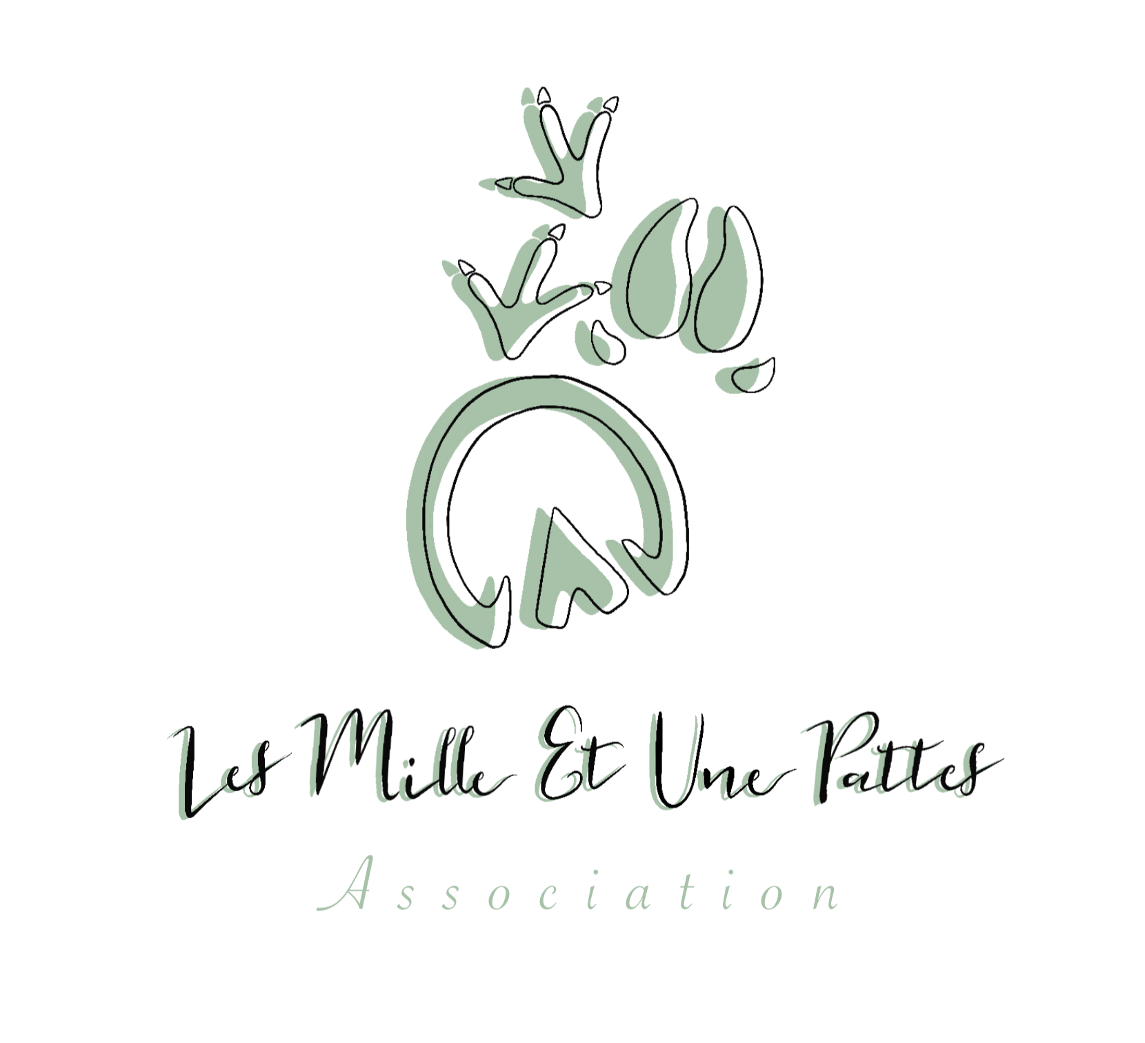 Les Mille et Une Pattes