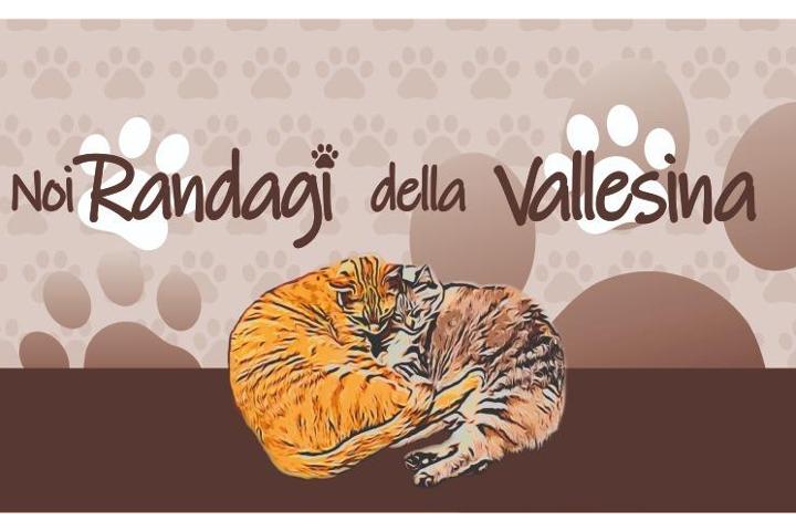 NOI RANDAGI DELLA VALLESIAN ODV