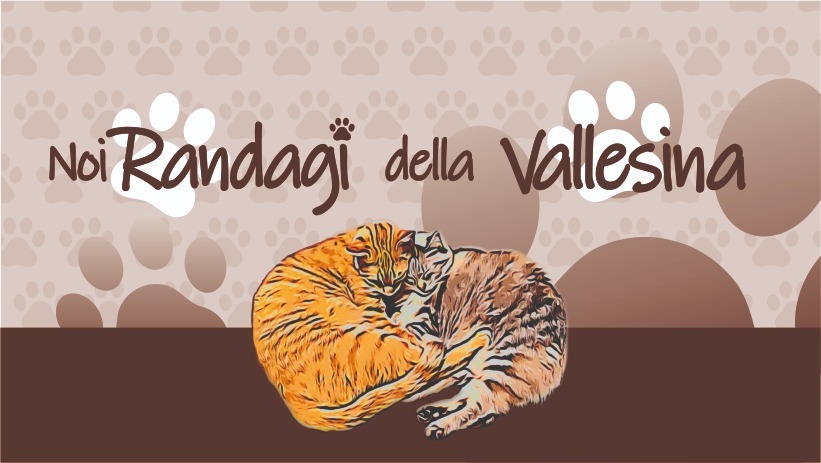 NOI RANDAGI DELLA VALLESIAN ODV