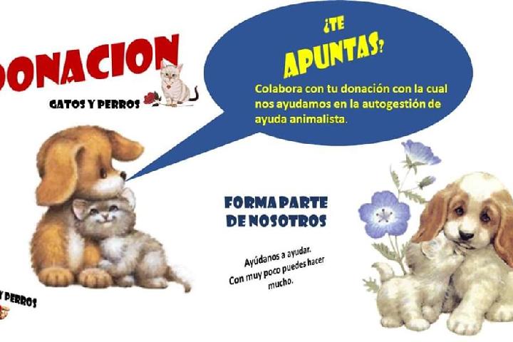 CONTIGO LO CONSEGUIREMOS