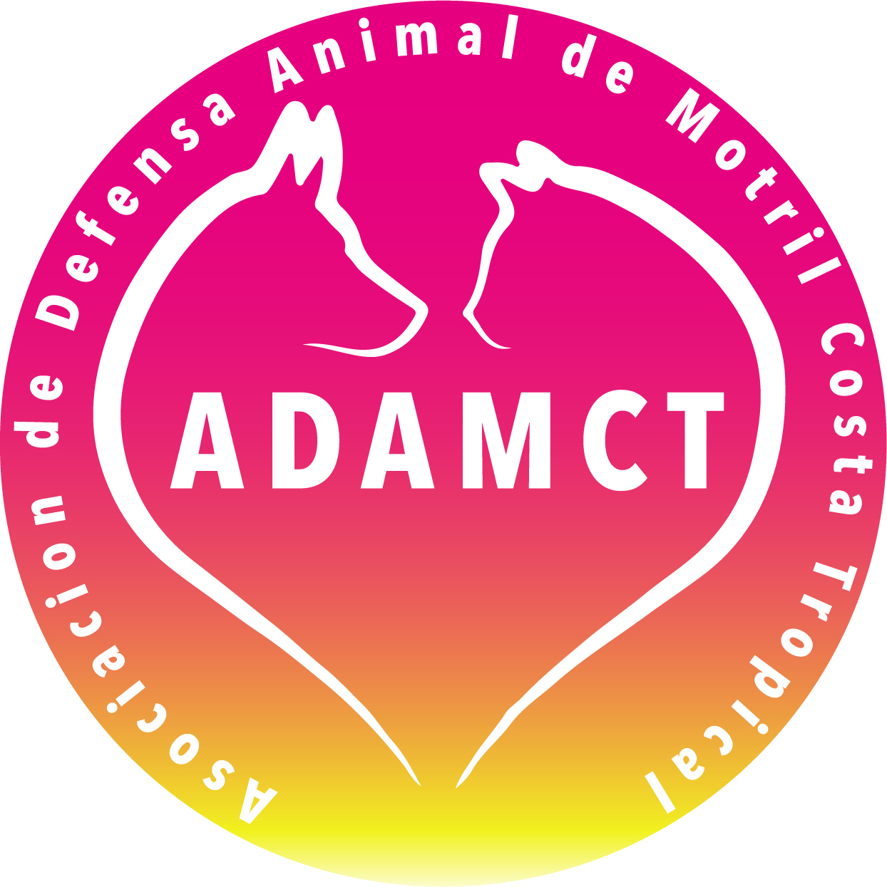 Adamct