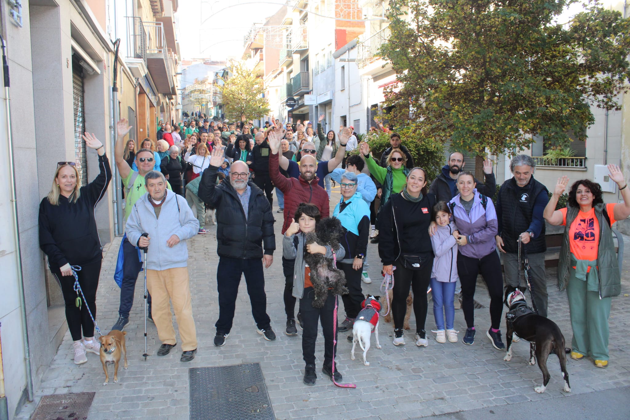 Protectora Animals Parets