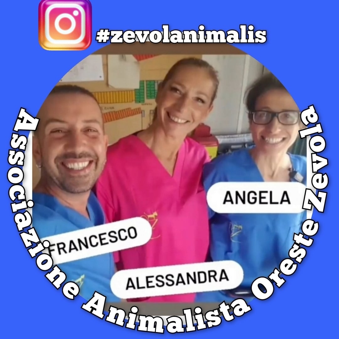 #zevolanimalis aiutaci ad aiutarli Associazione Animalista Oreste Zevola