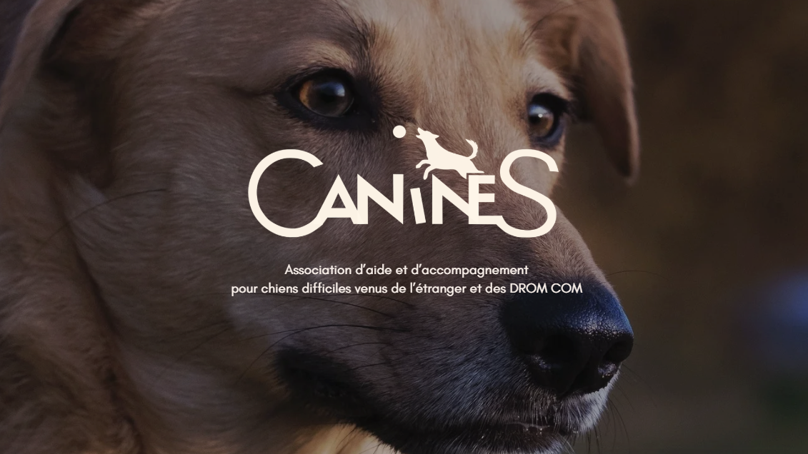 Association Canines
