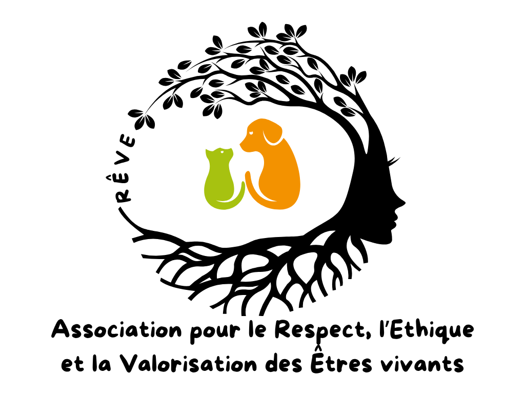 Association RÊVE