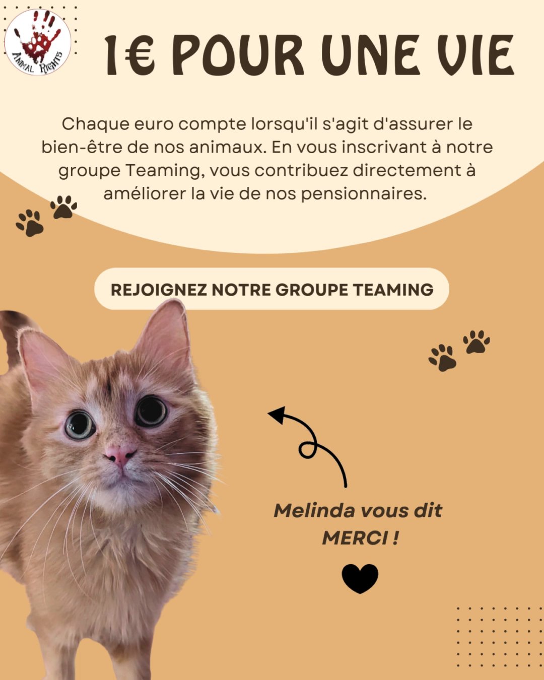 Association Animal Rights Lauterbourg
