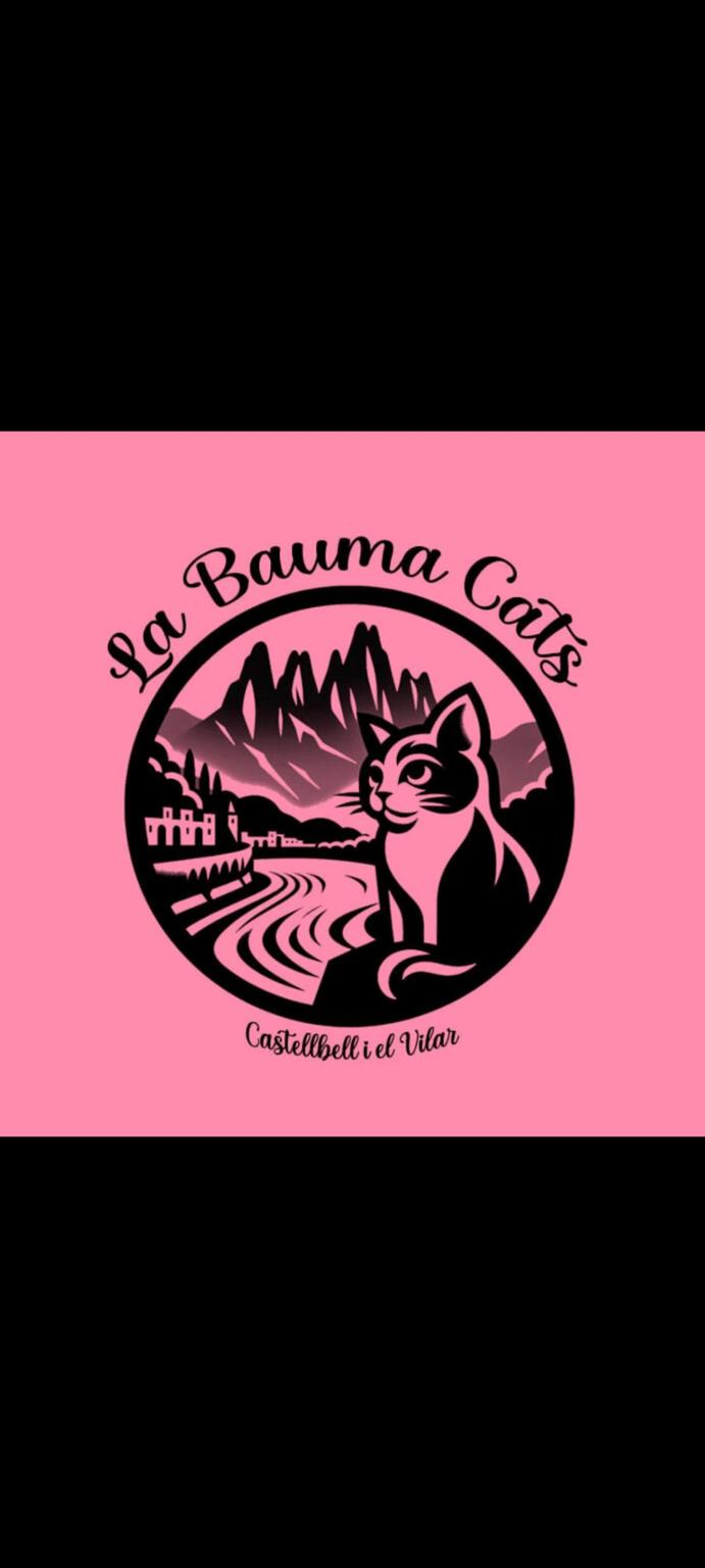 La Bauma Cats