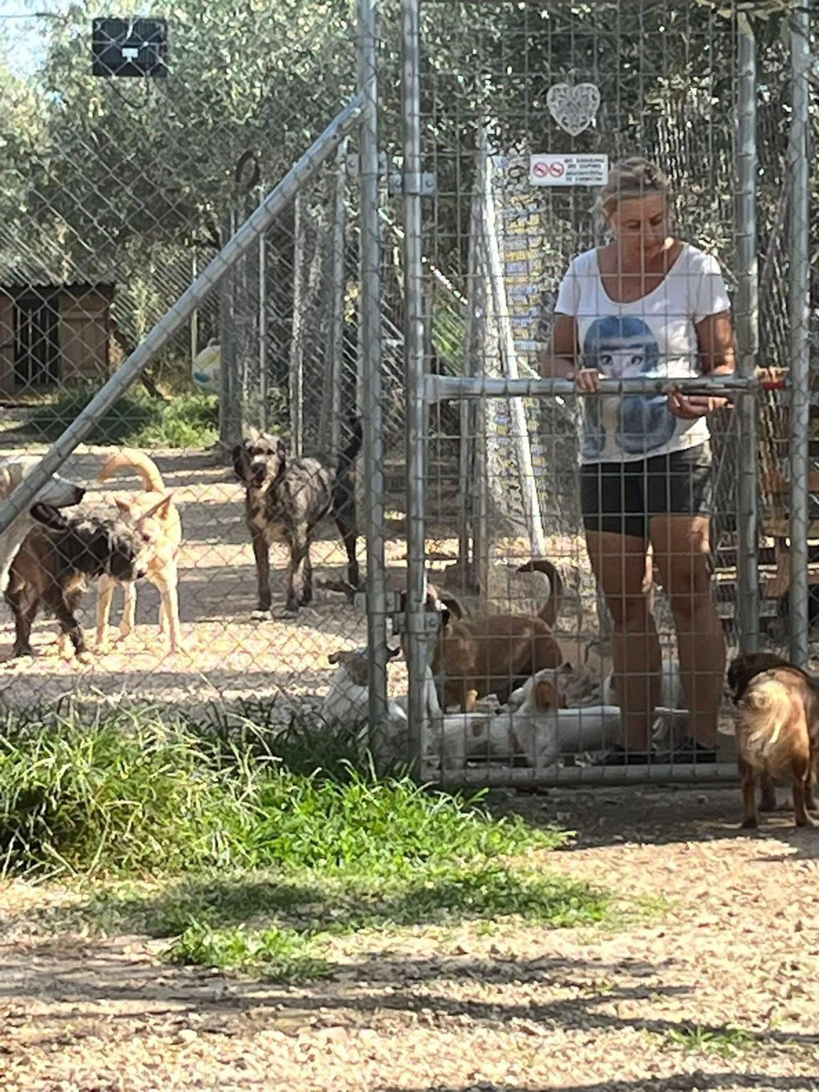 Chalkidikis Schattentiere e.V.