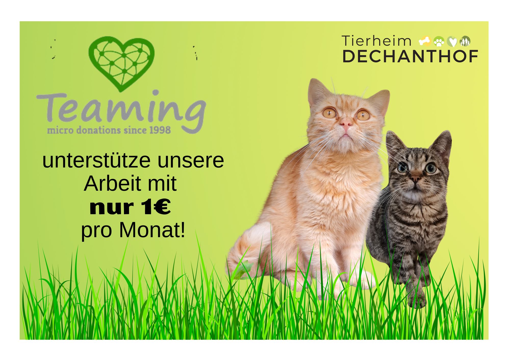 Tierheim Dechanthof