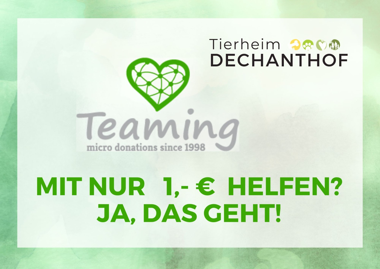 Tierheim Dechanthof