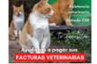 ProGat Sabadell Facturas veterinarias