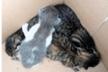 Minka Cats