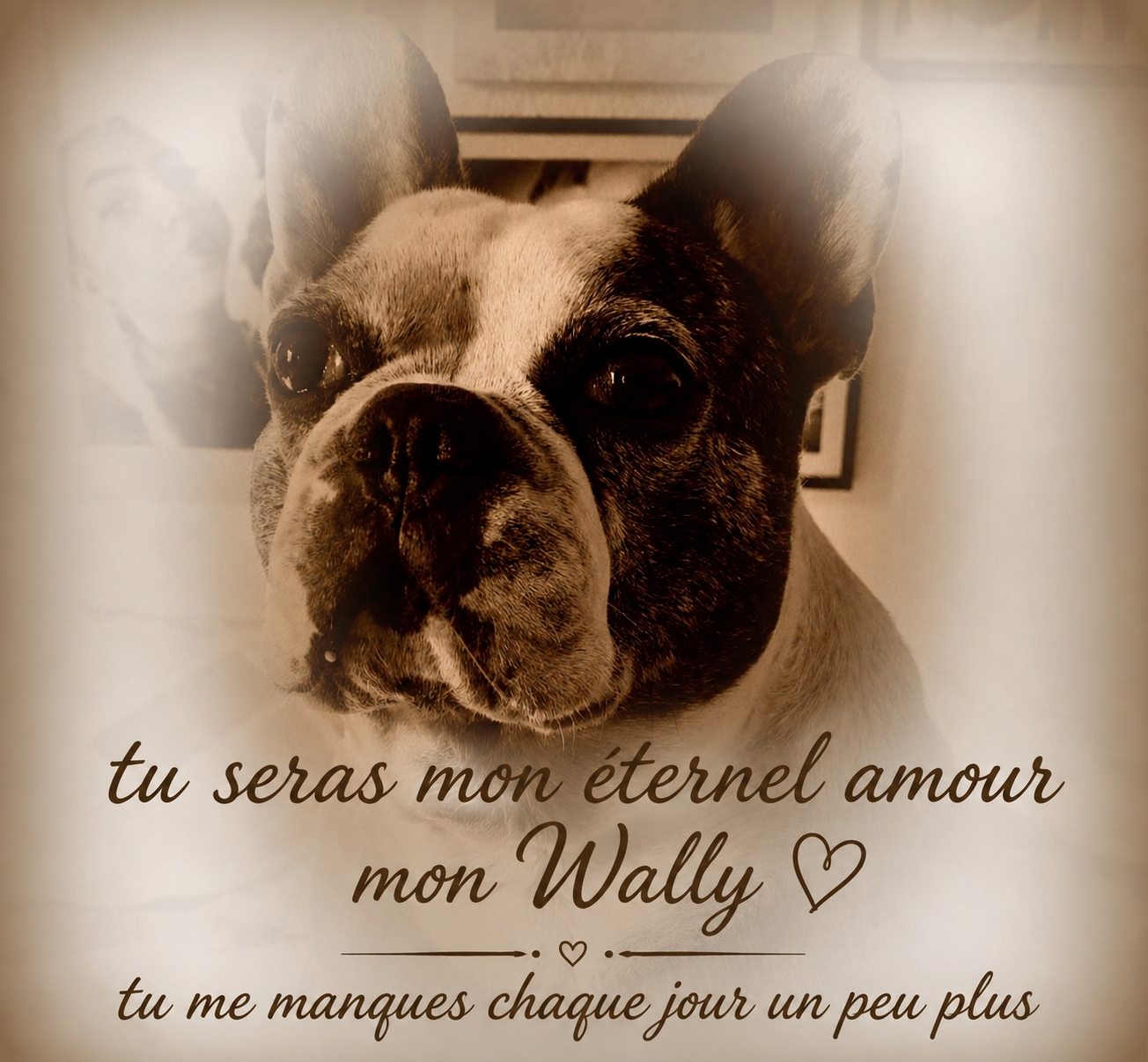 Pour Wally au paradis