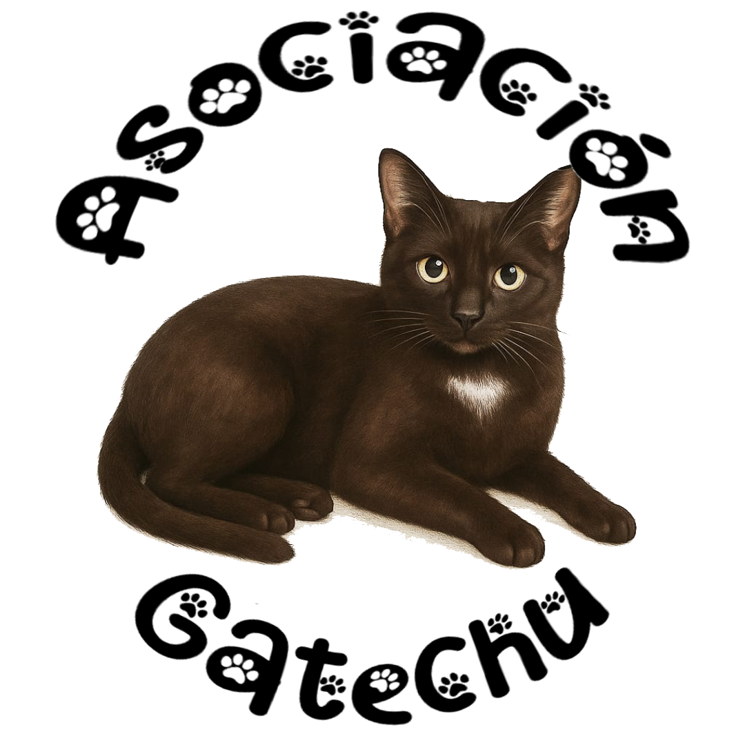 Asociación Gatechu de protección felina en Castilblanco de Henares