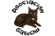 Asociación Gatechu de protección felina en Castilblanco de Henares