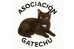 Asociación Gatechu de protección felina en Castilblanco de Henares
