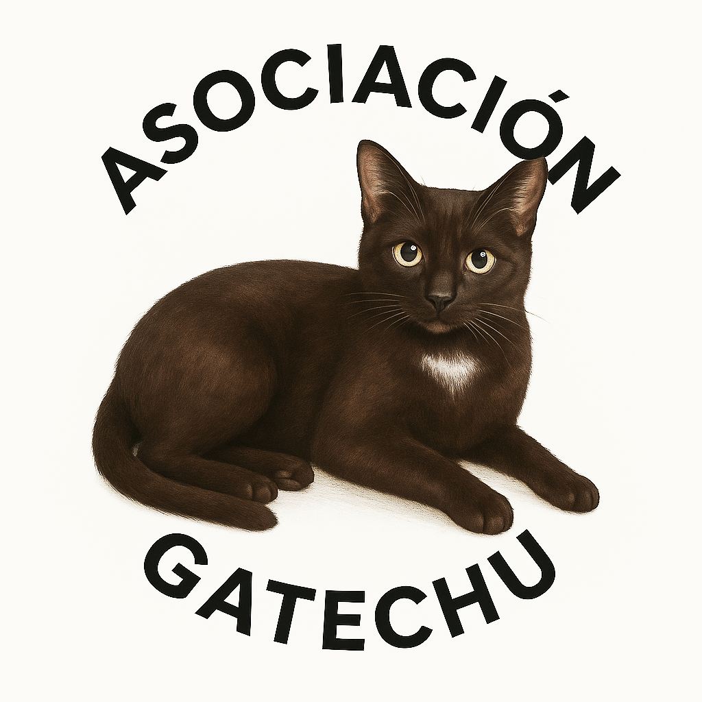 Asociación Gatechu de protección felina en Castilblanco de Henares