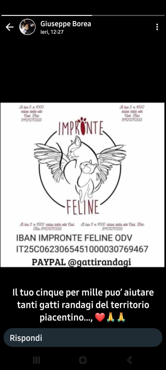 Aiuti per Impronte feline odv