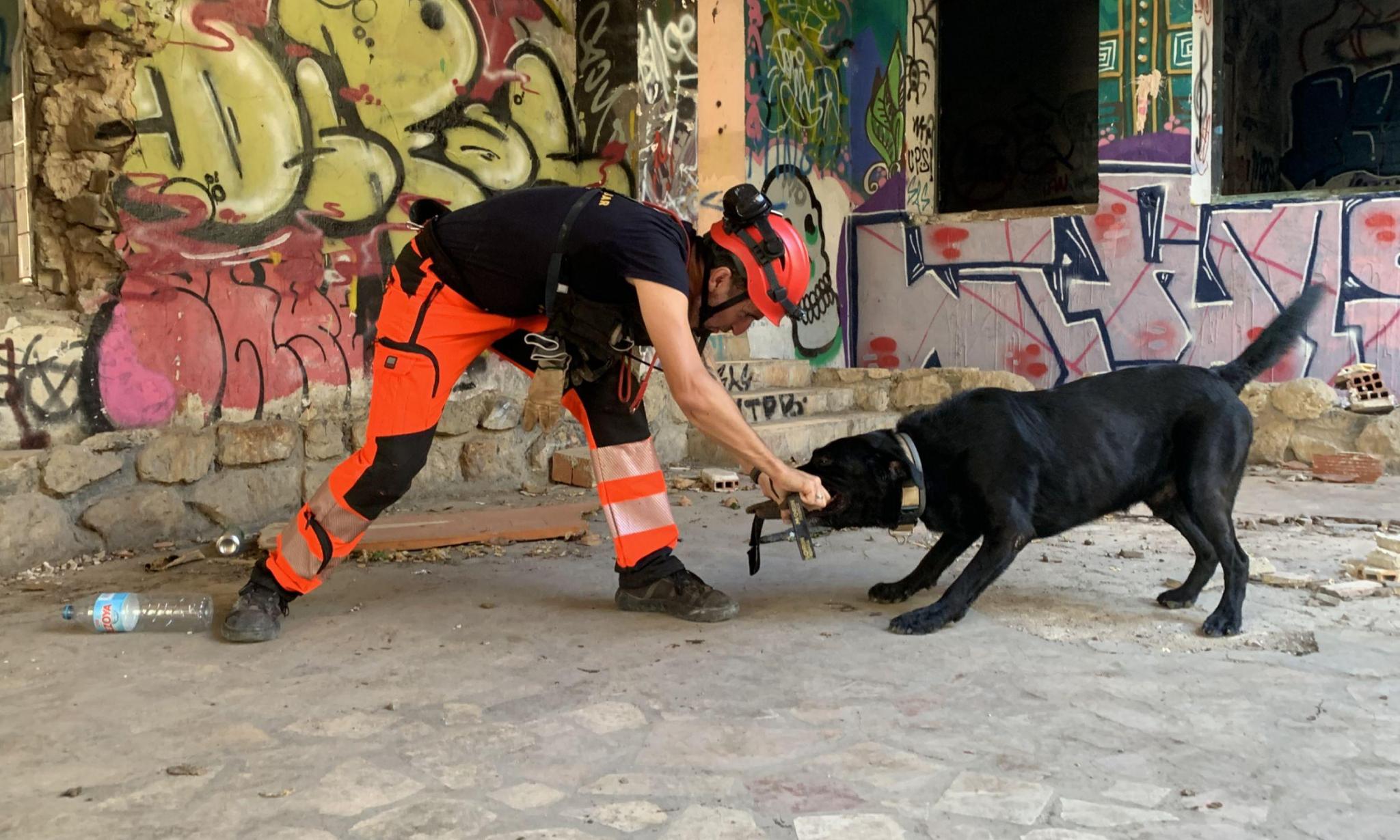 LOBO K9 SAR Unidad Canina de Búsqueda y Rescate