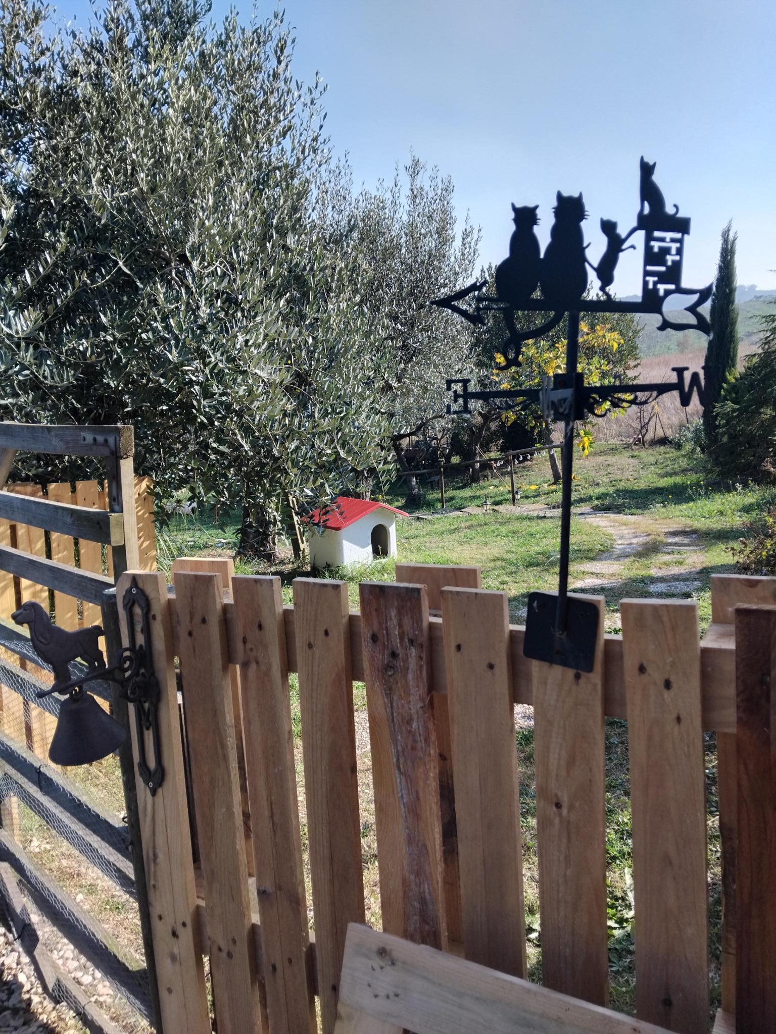 Cat House San Costanzo