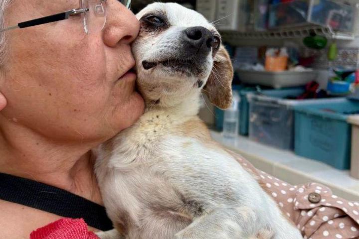 BIANCA Animal Shelter