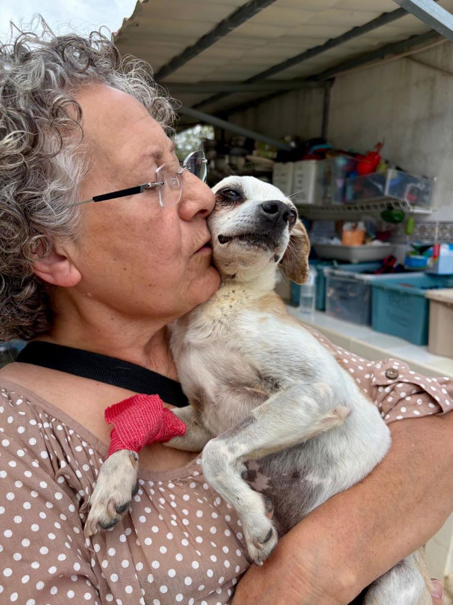 BIANCA Animal Shelter